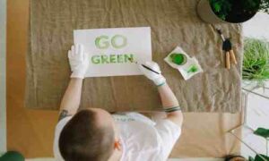 Sustainable packaging supplier